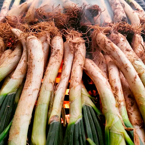 Calçots del restaurant Tarannà Mataró